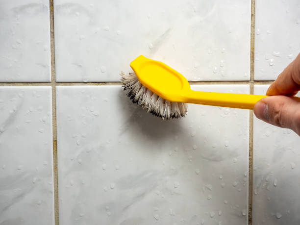 Best Mold Remediation  in Benton, AR