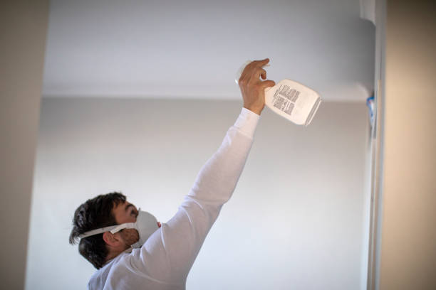 Best Toxic Mold Removal  in Benton, AR