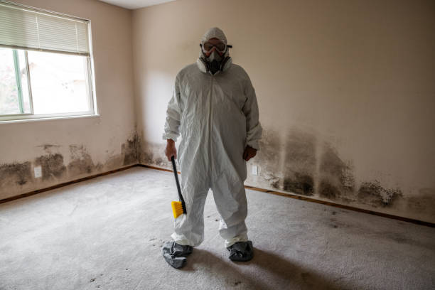 Best Home Mold Removal  in Benton, AR