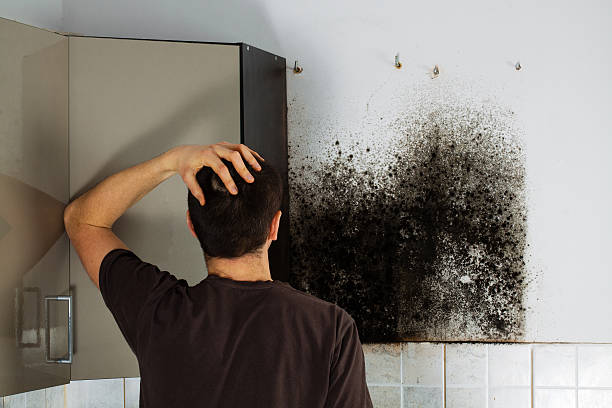 Best Crawl Space Mold Removal  in Benton, AR